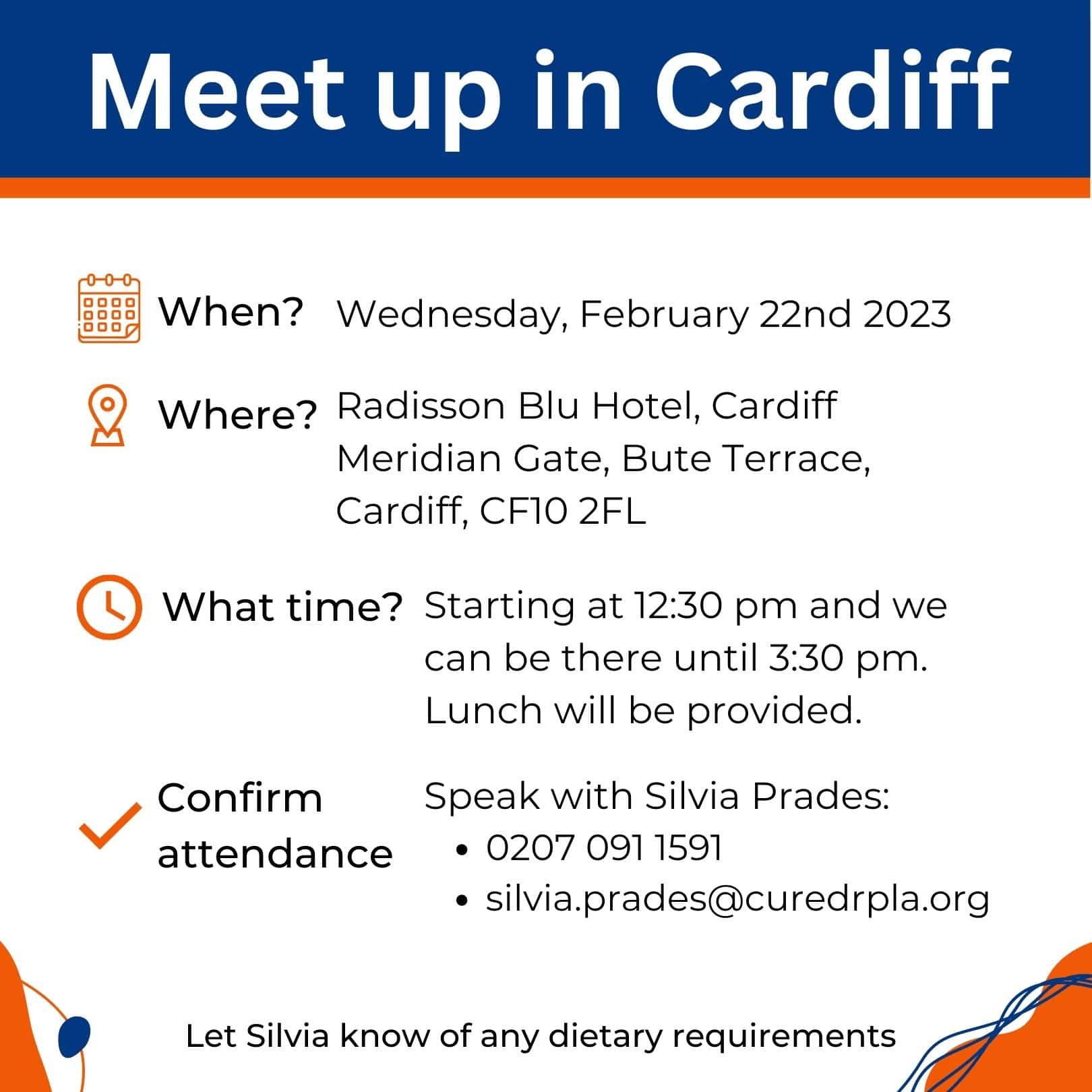 Meet up in Cardiff (1) Meet up in Cardiff Flyer